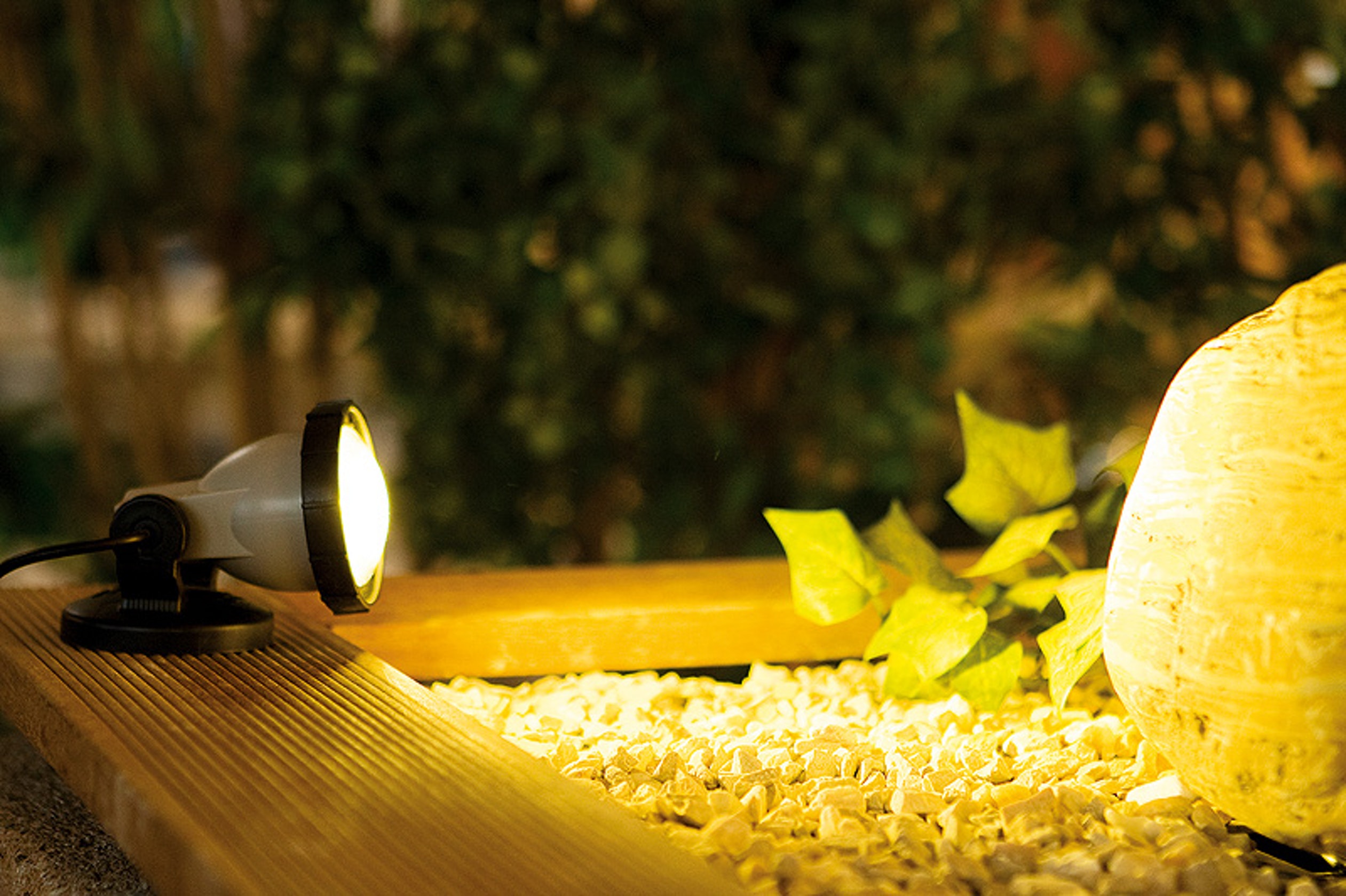 Teich & Gartenbeleuchtung