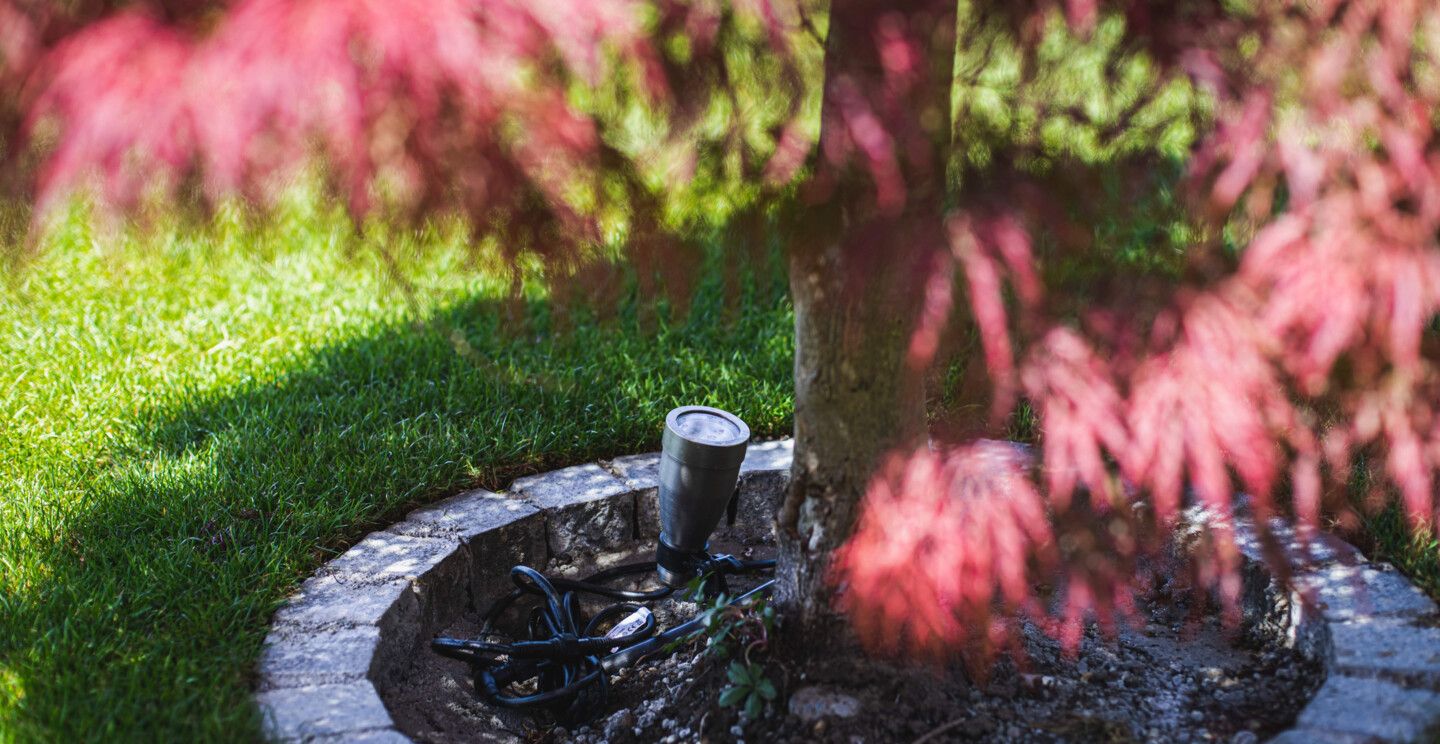 Ein Heissner SMART LIGHTS LED Spot an einem Baum