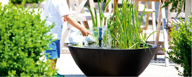 Gleichgewicht im Gartenteich