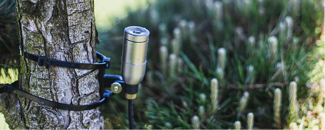 Teich- & Gartenbeleuchtung