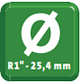 R1 R1