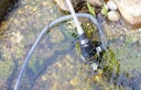Vorschaubild Heissner Profi-Teichschlammsauger 8000 l/h