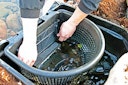 Vorschaubild Heissner PROFI POND Wandskimmer (F644-00)