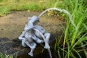 Vorschaubild Heissner Teichfigur "Frosch-Paar", 28x18x30cm