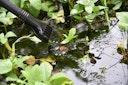 Vorschaubild Heissner Teichschlammsauger "Power-X-Change", Solo, 36V, 35L
