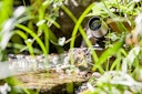 Vorschaubild Heissner Smart Garden Cam (Z1080-00)