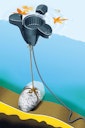 Vorschaubild Heissner schwimmender Oberflächenreiniger (F540-00)