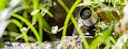 Vorschaubild Heissner Smart Garden Cam (Z1080-00)